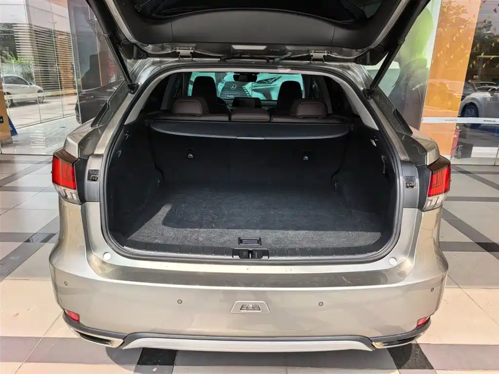 Lexus RX 2020 300 4WD Elegance Edition China VI фото 7