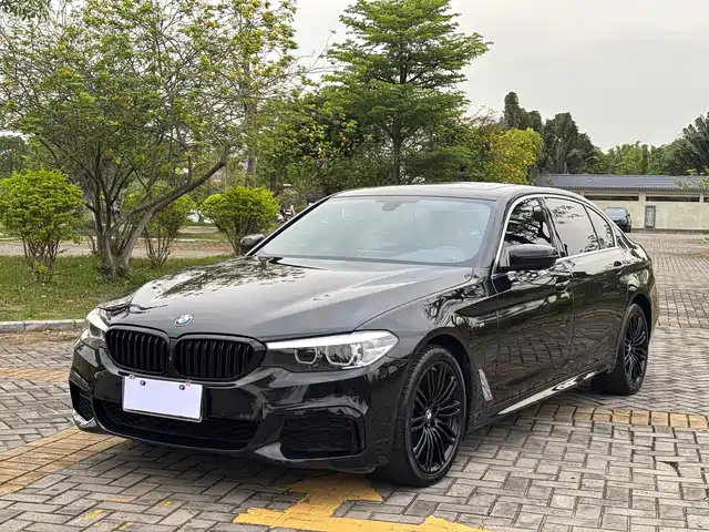 BMW 5 SERIES