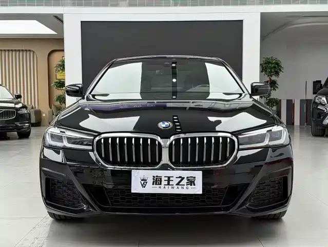 BMW 5 530Li, Лидер, M Спорт-пакет
