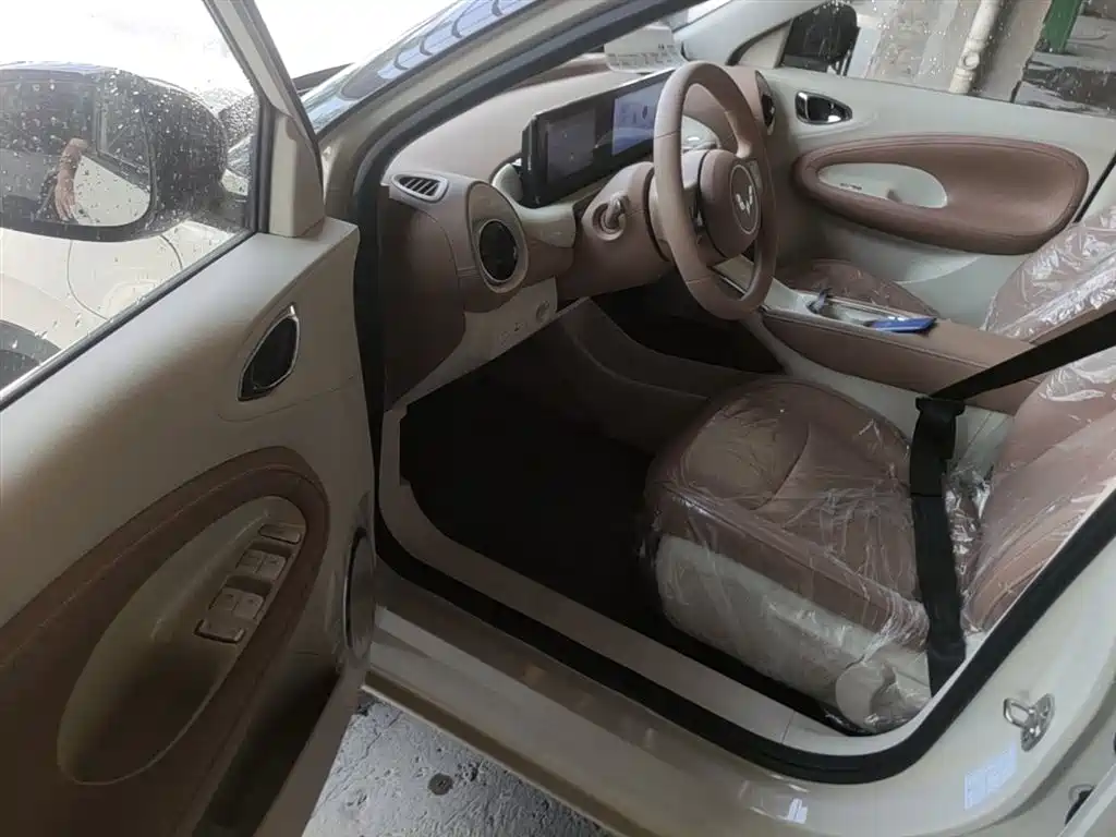 Wuling Motors Wuling Bingo 2026 2025 Model 333km Joy Edition