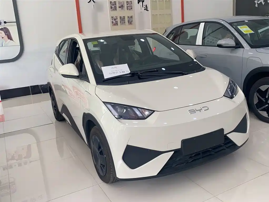 BYD Seagull 2026 2025 Smart Drive Edition 305km Vitality Version