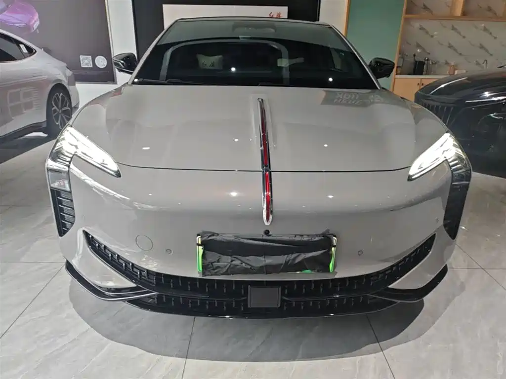 Фото 3 - Hongqi EH7