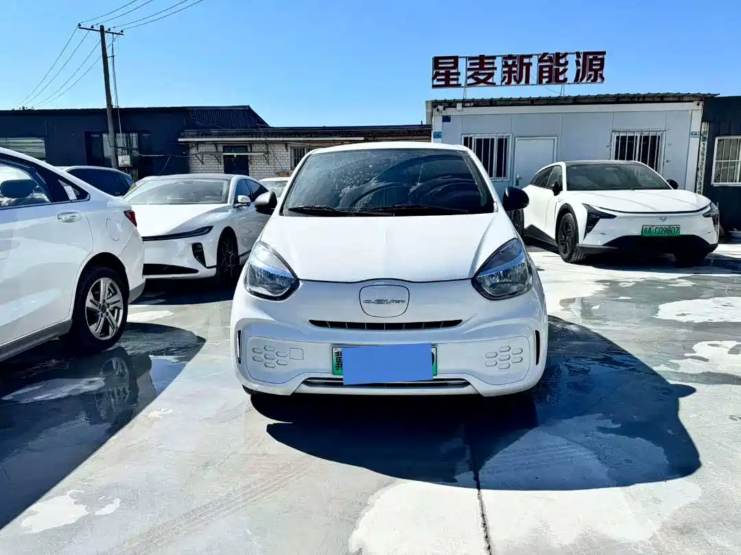 Roewe Clever 2022 2022 311km Vitality Bobo Edition