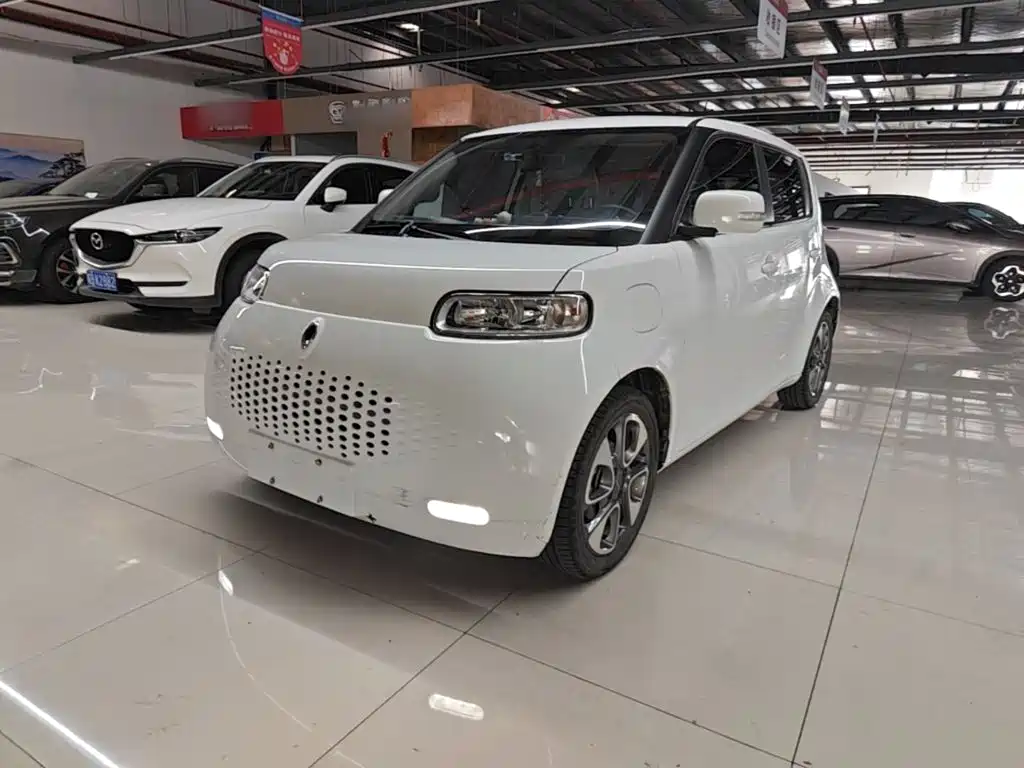 Ora White Cat 2021 2020 305km Luxury