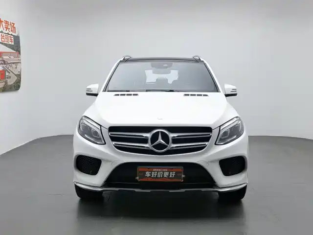 Mercedes-Benz GLE 2016 GLE 320 4MATIC Dynamic — фото 3