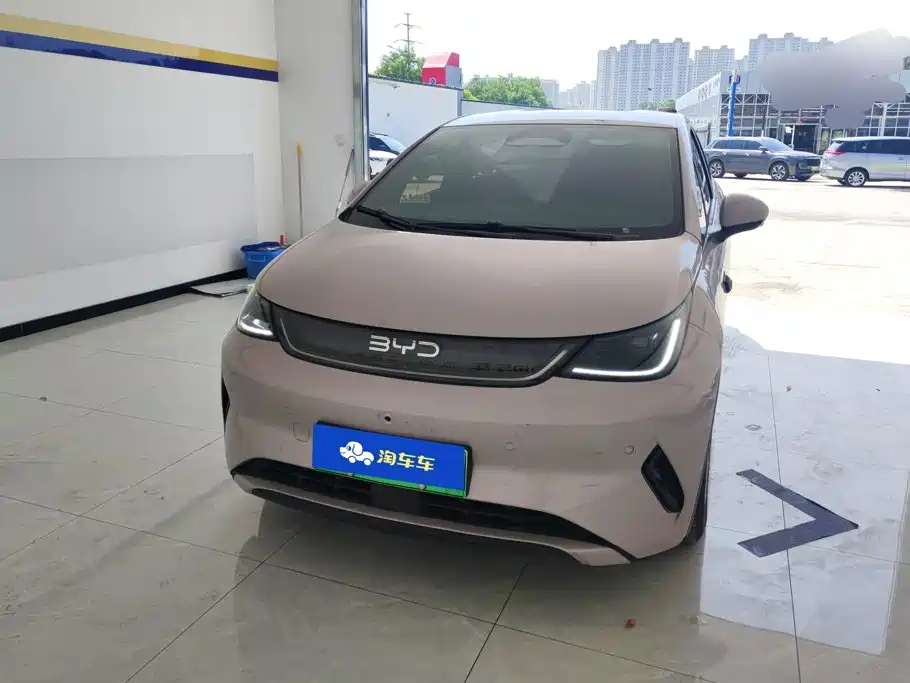 BYD Dolphin 2025 2025 Smart Drive Edition 420km Freedom Version