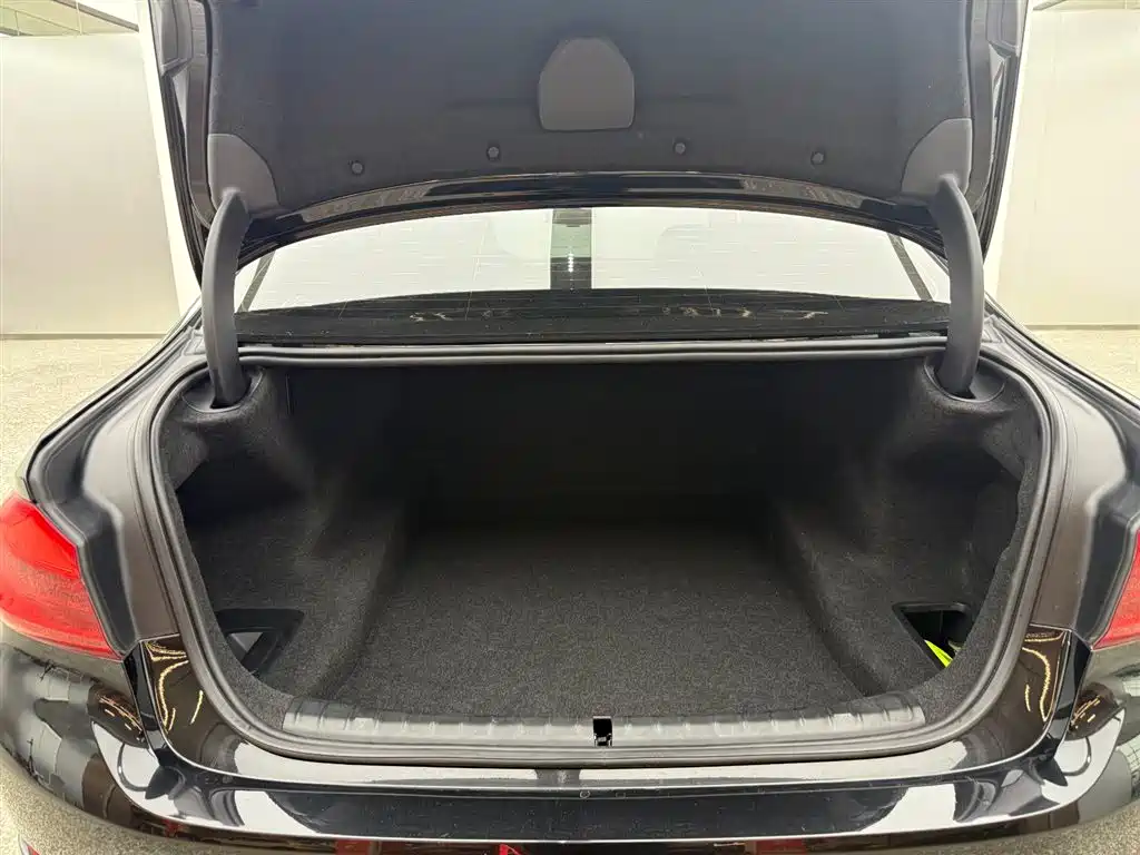 BMW 5 Series 2020 530Li Leading Luxury Package фото 14