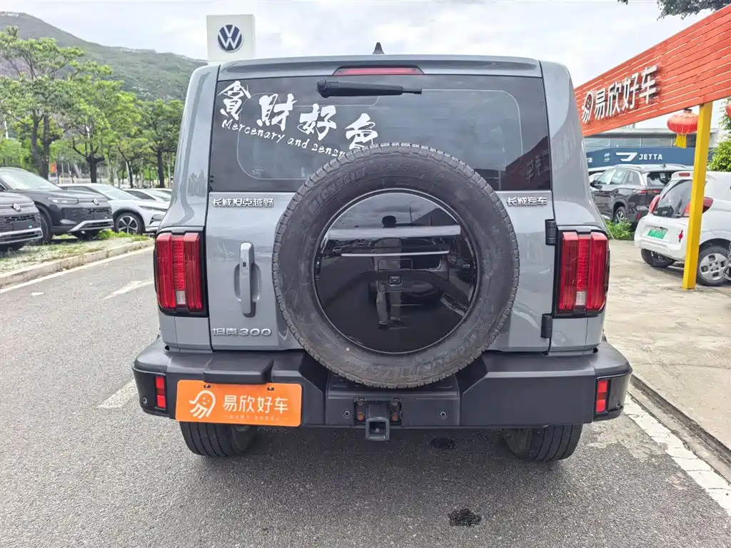 Tank 300 2024 2.0T Explorer фото 8