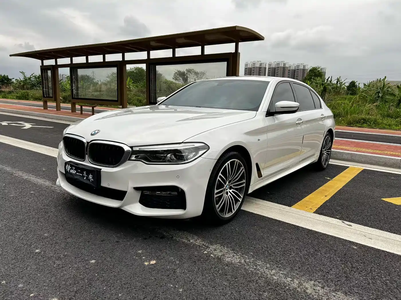 BMW 5 Series 2018 530Li Premium M Sport Package