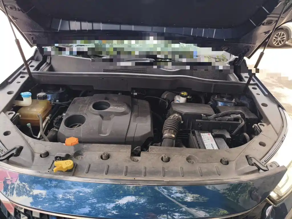Changan Oshan Cosmos Pro 2021 2021 1.5T Manual Luxury 7-seater