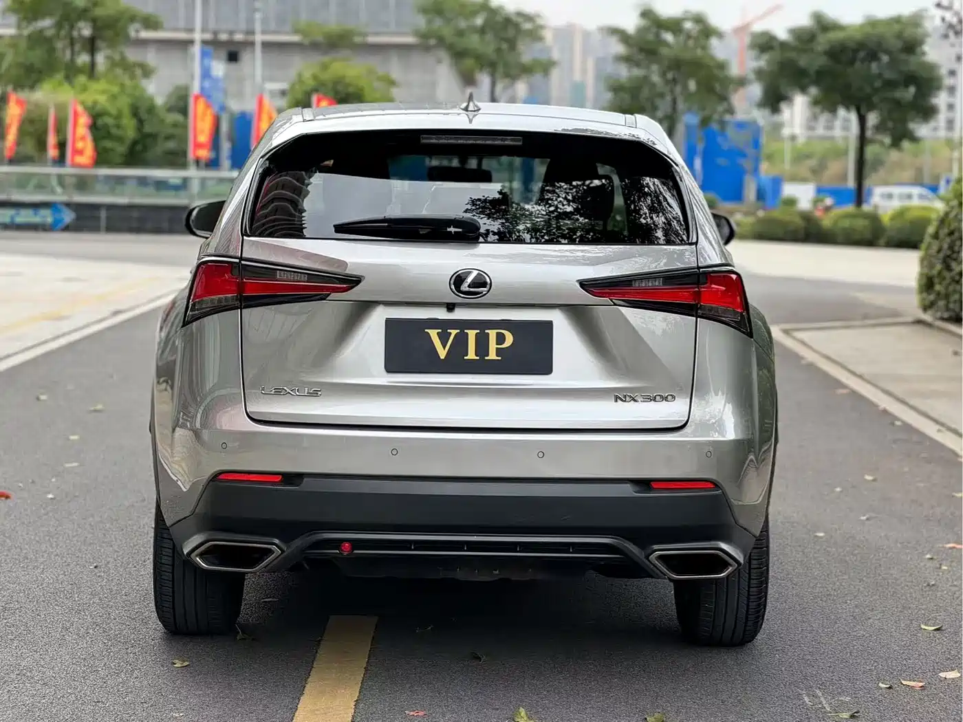 Lexus NX 2018 Model 300 FWD Fengxing Edition фото 6