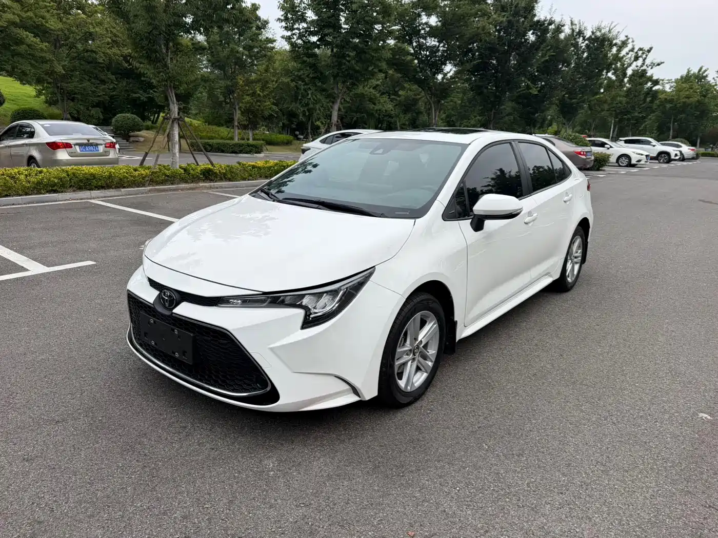 Toyota Levin