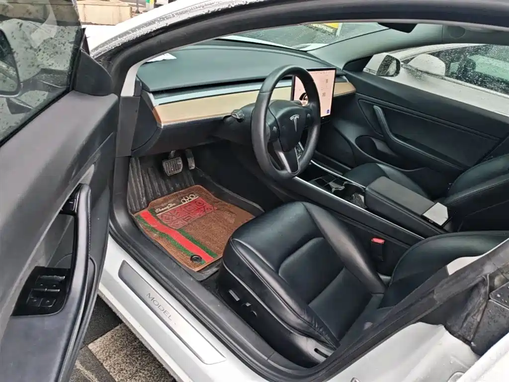 TESLA MODEL 3 (IMPORTED)