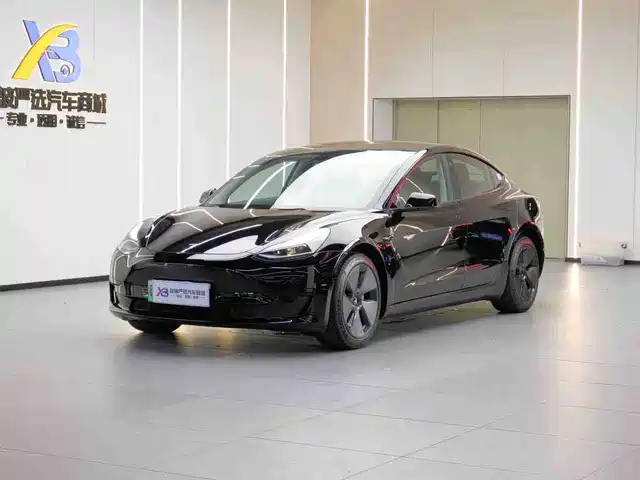 Tesla Model 3 Стандартный запас хода, задний привод, улучшенная, 3D6