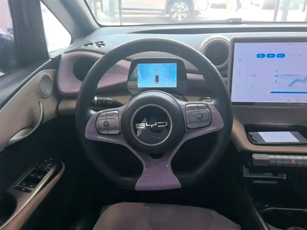 BYD Dolphin 2023 420km Fashion Edition фото 11