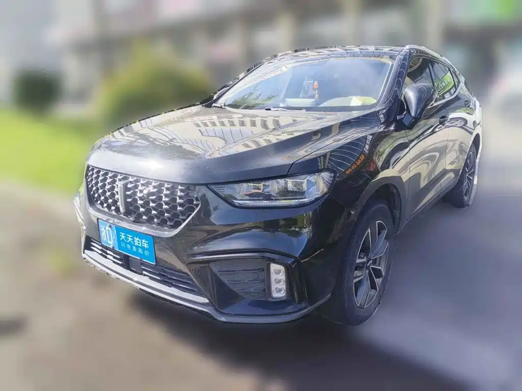 WEY VV5 2020 2020 1.5T 2WD Smart Pioneer