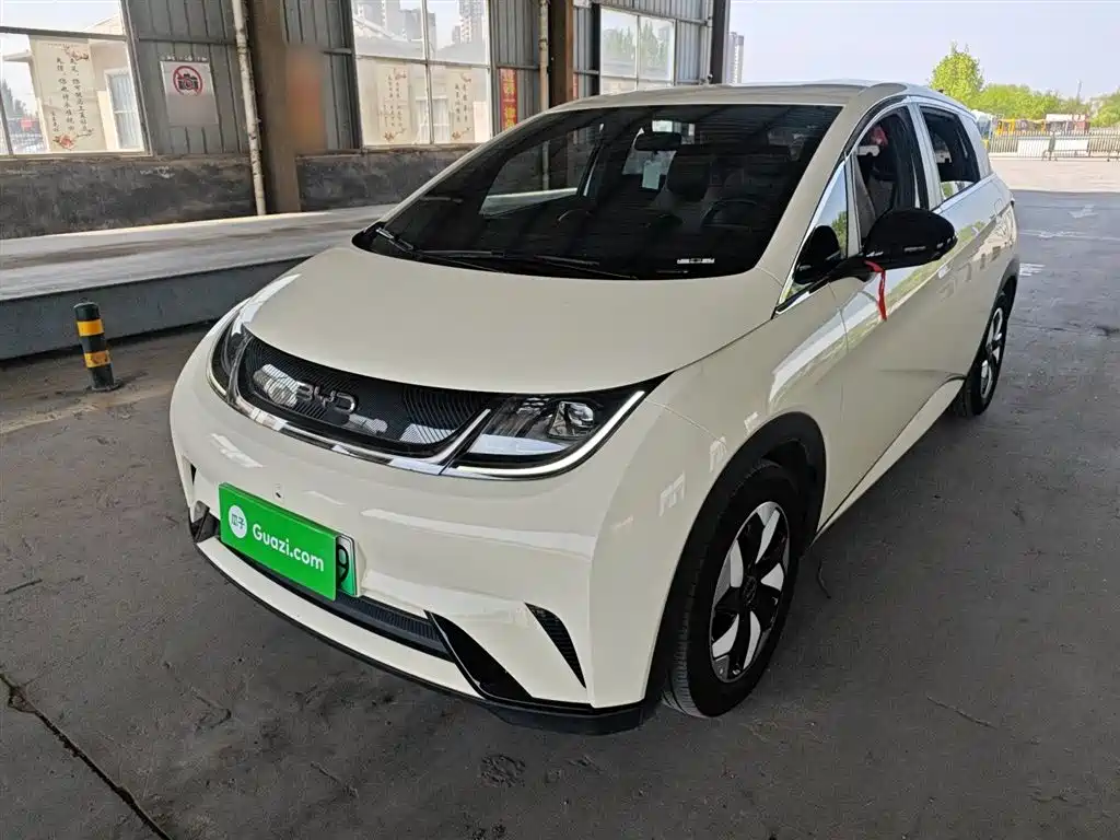 BYD Dolphin 2024 Glory Edition 420km Freedom Edition