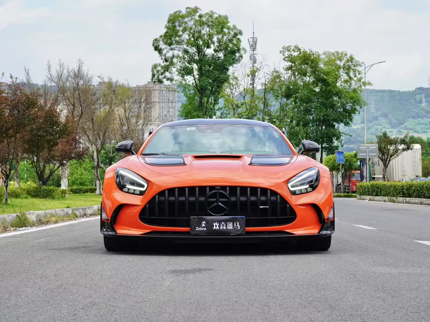 Mercedes-Benz AMG GT 2021 AMG GT Black Series фото 2