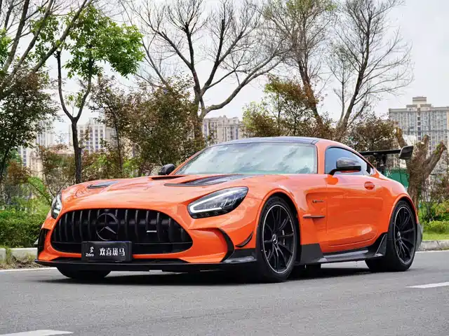 Mercedes-Benz AMG GT AMG GT Black Series