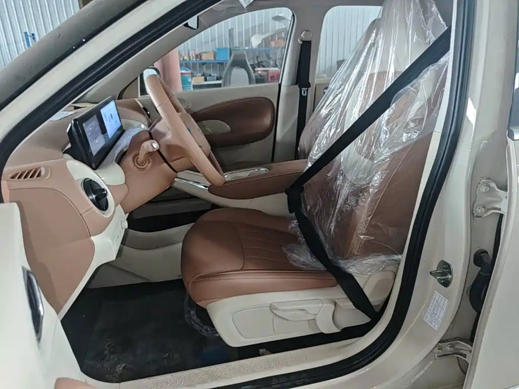 Wuling Motors Wuling Bingo 2026 2025 Model 333km Joy Edition