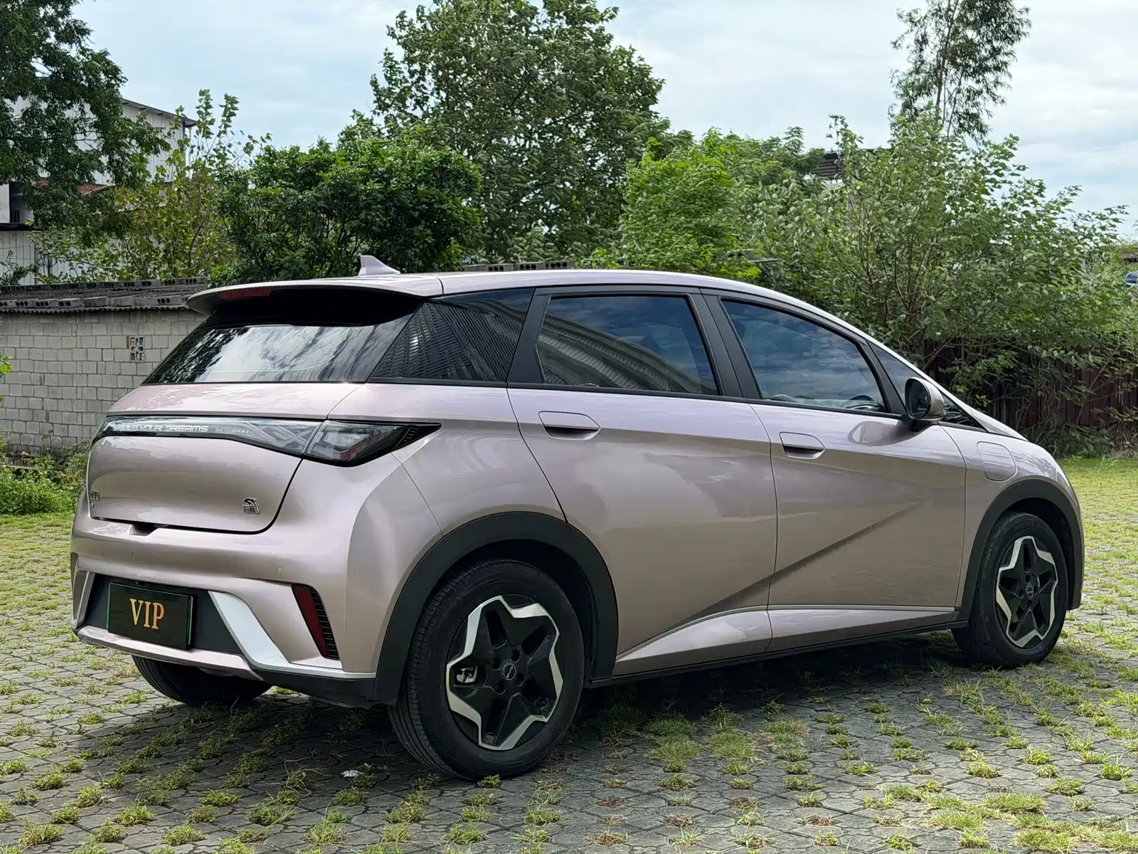 Фото 4 - BYD Dolphin