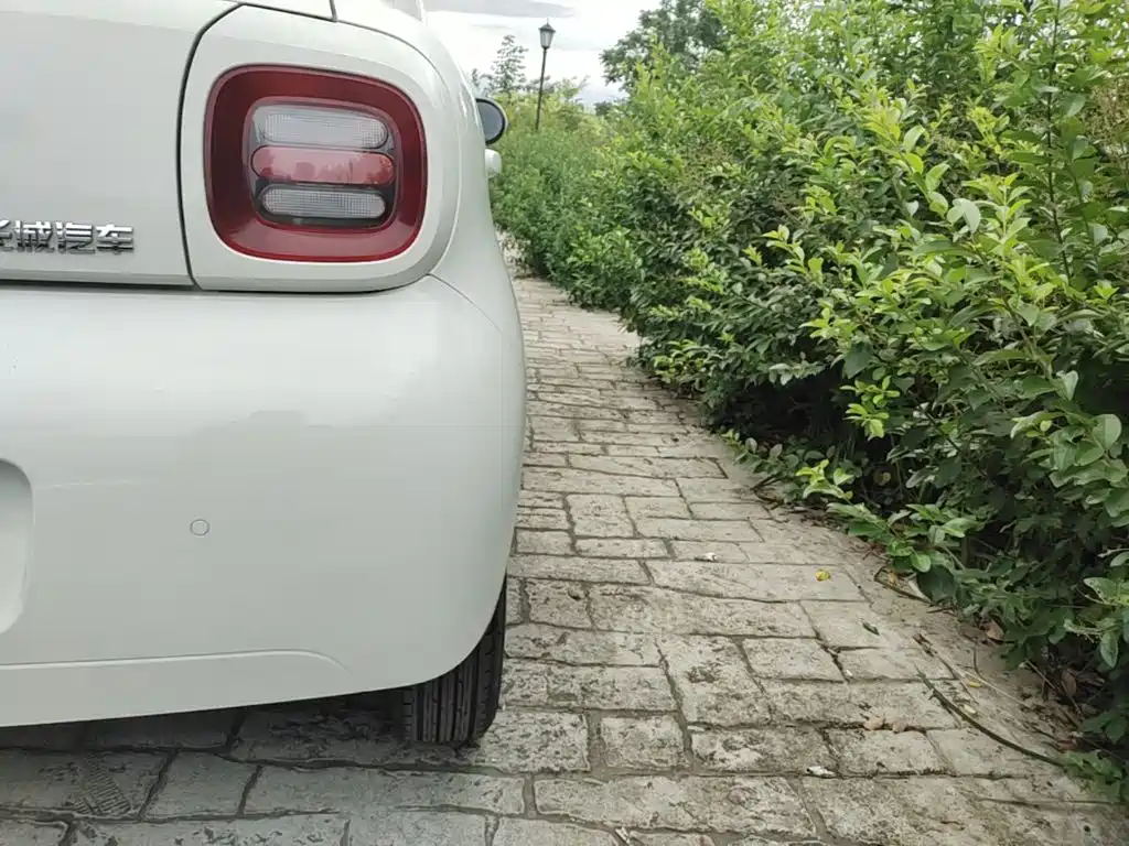 Ora Black Cat 2019 2019 Model 351km Smart Fun Edition