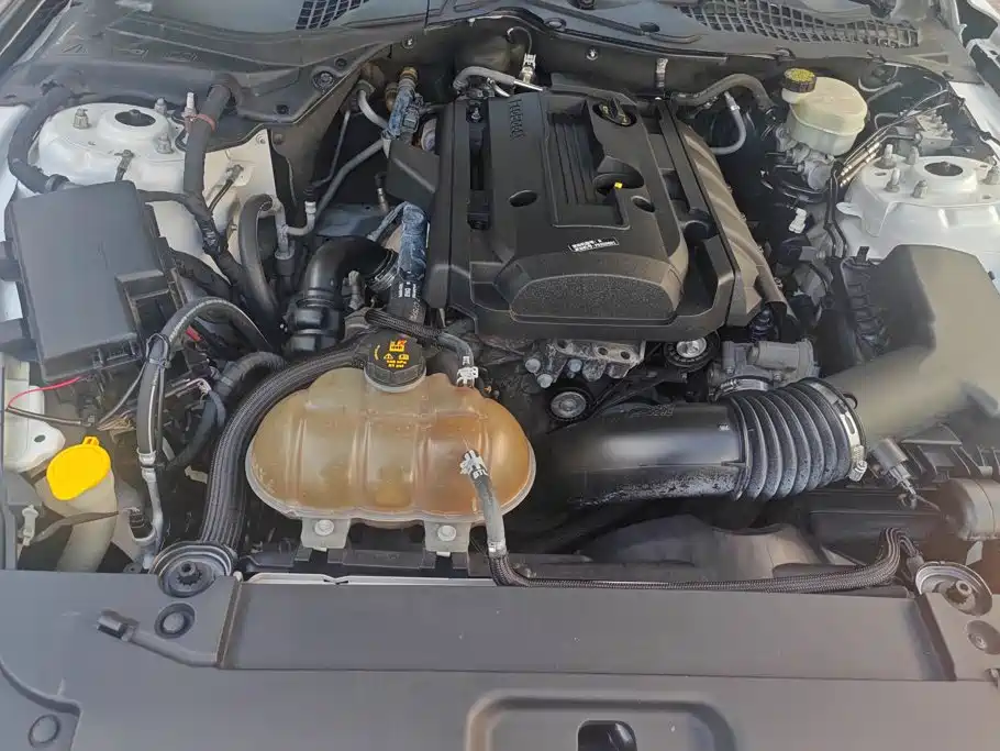 Ford Mustang 2015 2015 2.3T Performance Edition