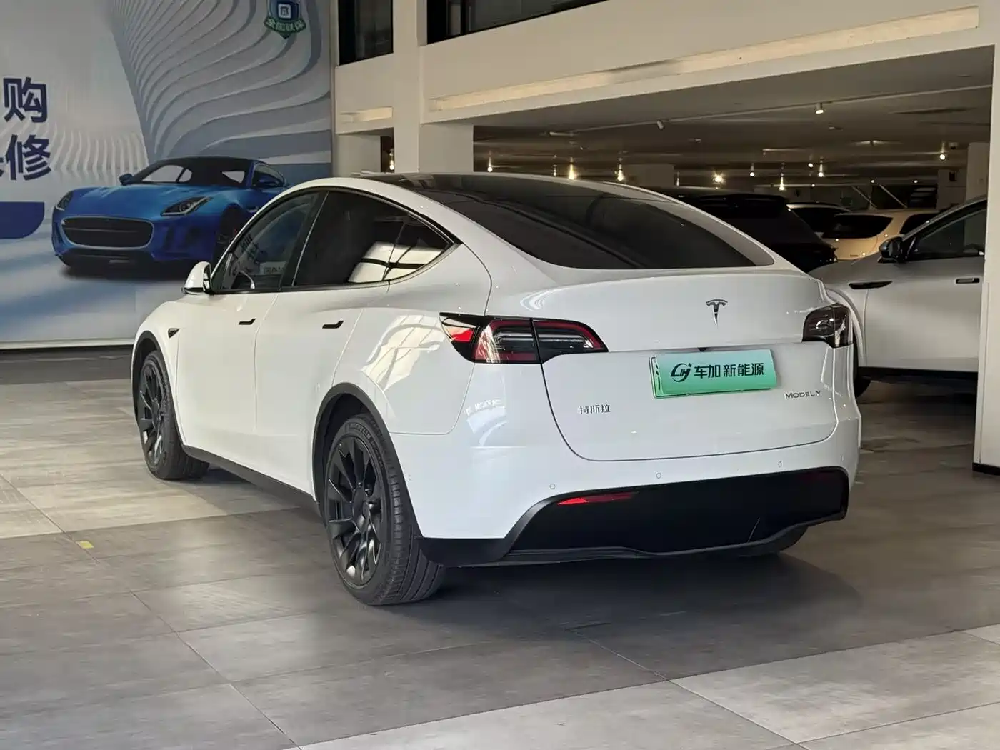 TESLA MODEL Y