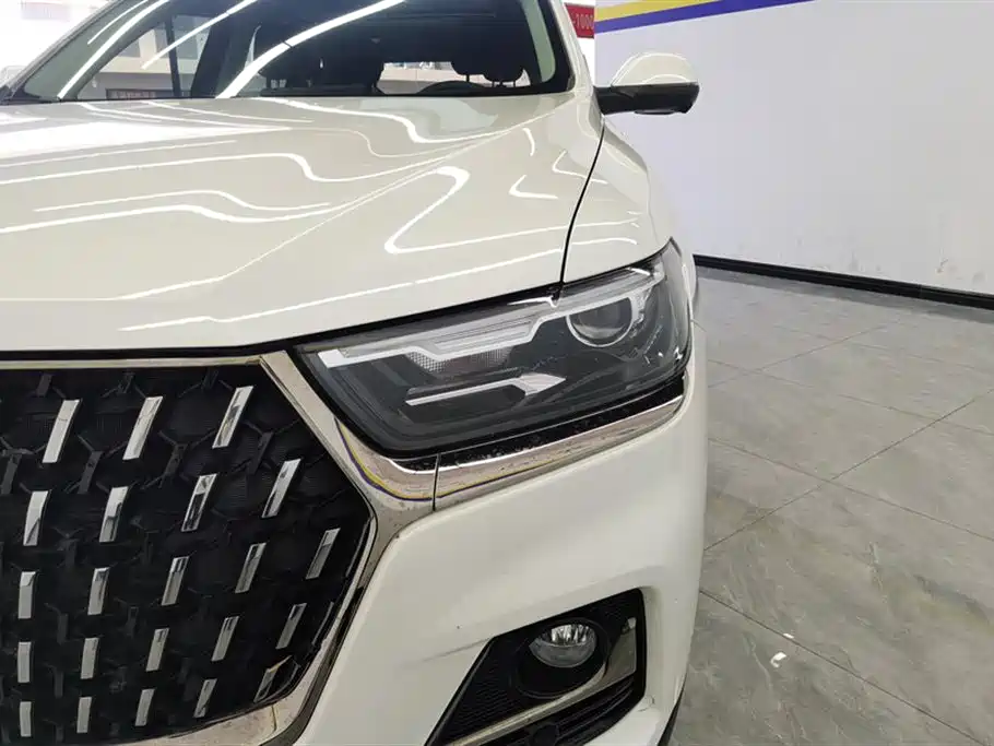 Haval H6 2023 National Trend Edition 1.5T Automatic Champion фото 5