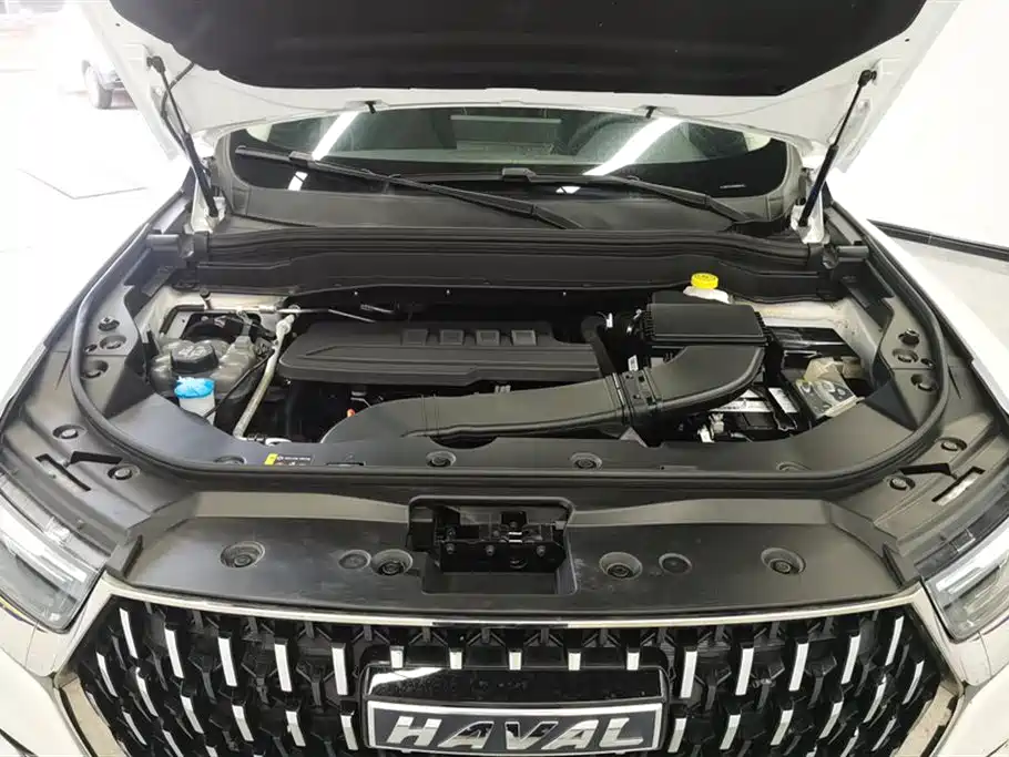 Haval H6 2023 National Trend Edition 1.5T Automatic Champion фото 10