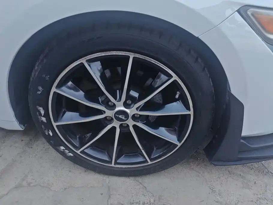 Ford Mustang 2015 2015 2.3T Performance Edition