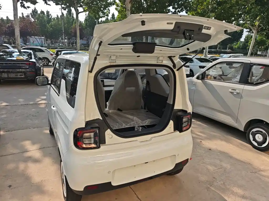 Geely Galaxy Panda 2026 2025 Panda mini 210km Vitality Bear