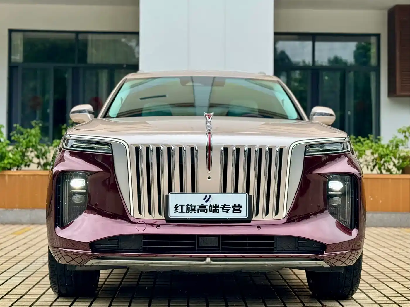 Hongqi E-HS9 2021 2021 510km Flagship Edition 4-seater
