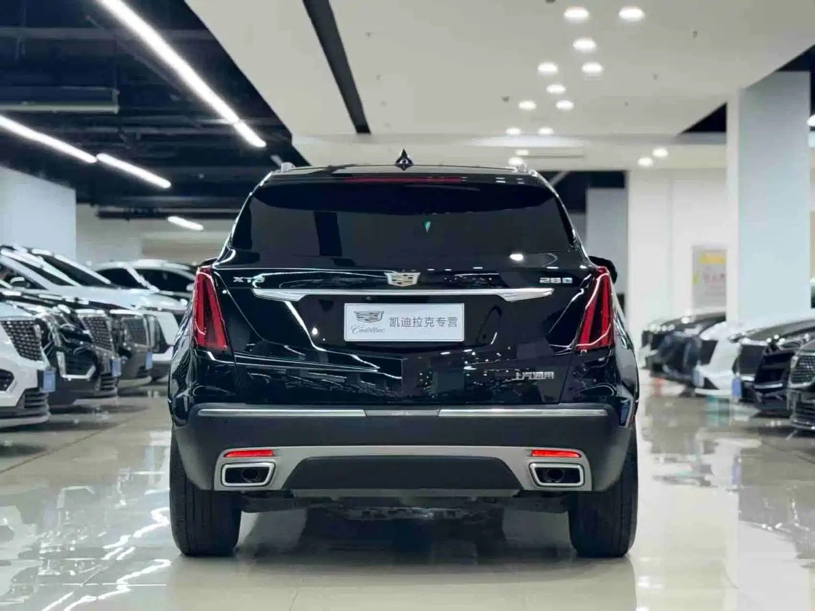 صورة 8 - Cadillac XT5
