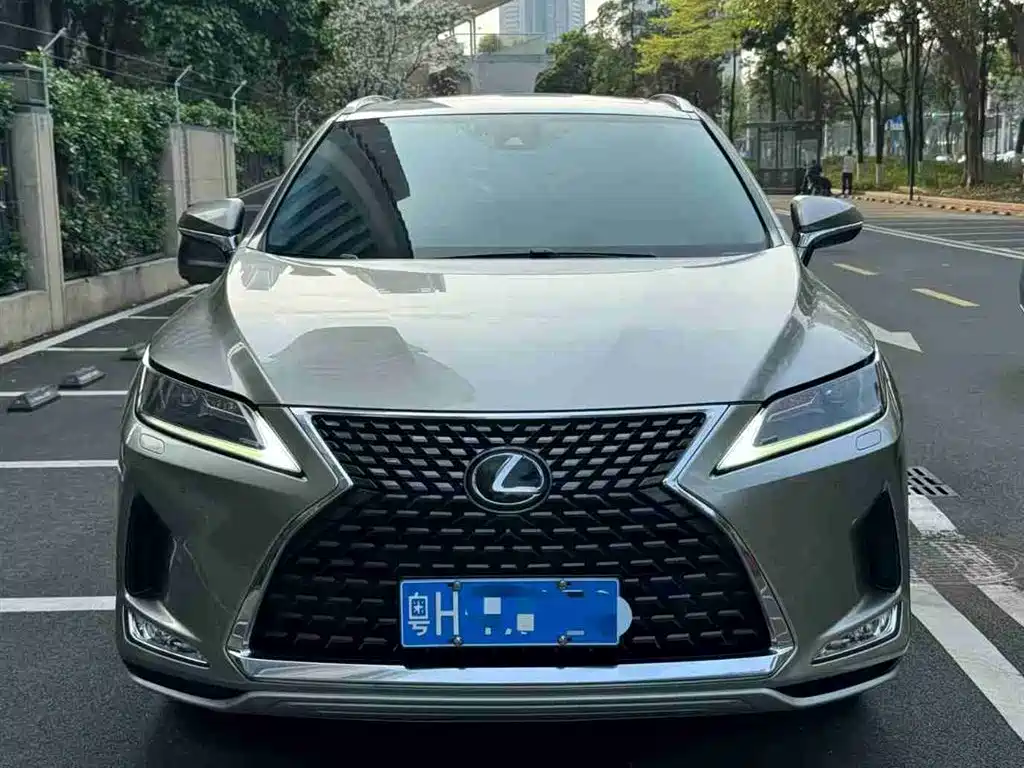 Lexus RX 2020 300 2WD Comfort Edition China V фото 3