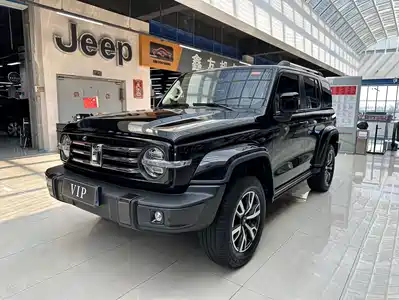Tank 300