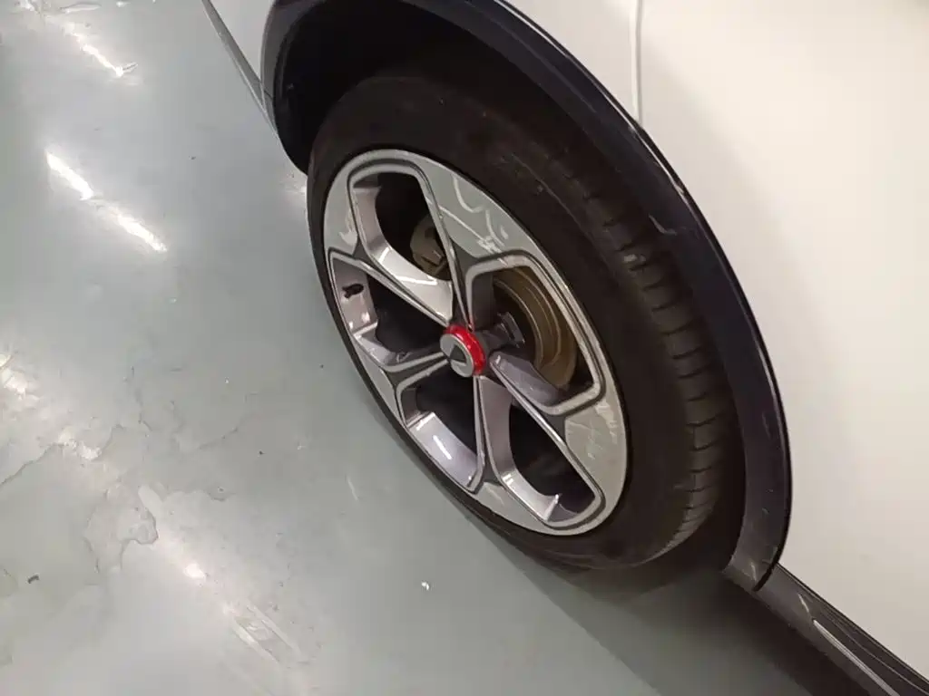 Denza X 2021 2020 Model PHEV Flagship Edition