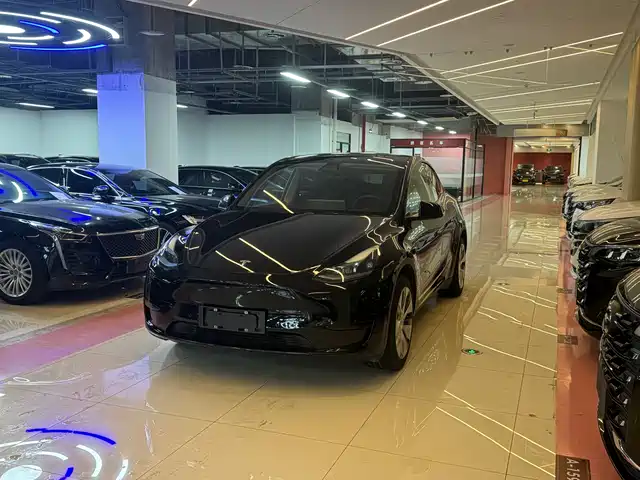 Tesla Model Y 2021 Model Long Range AWD