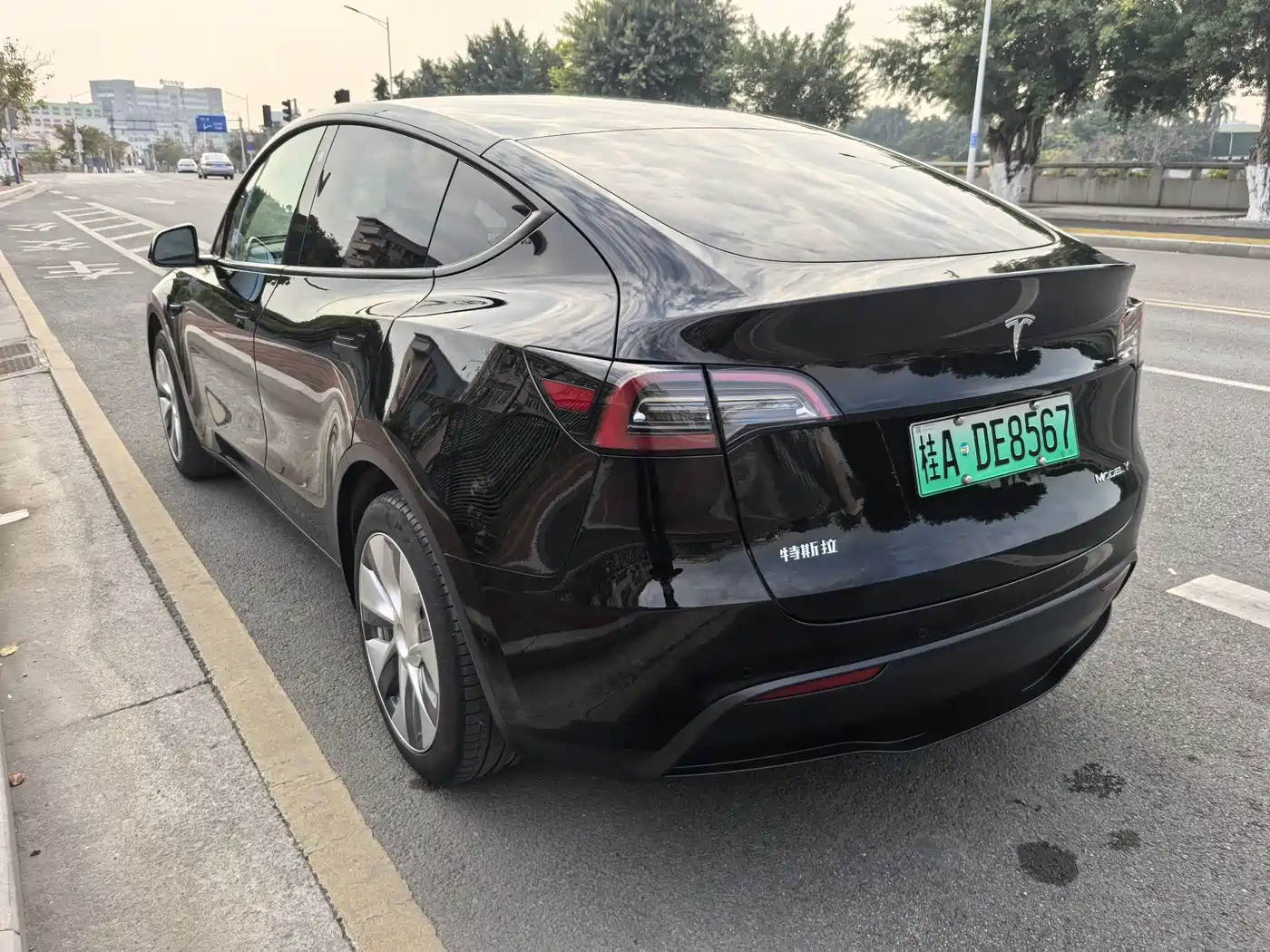 TESLA MODEL Y