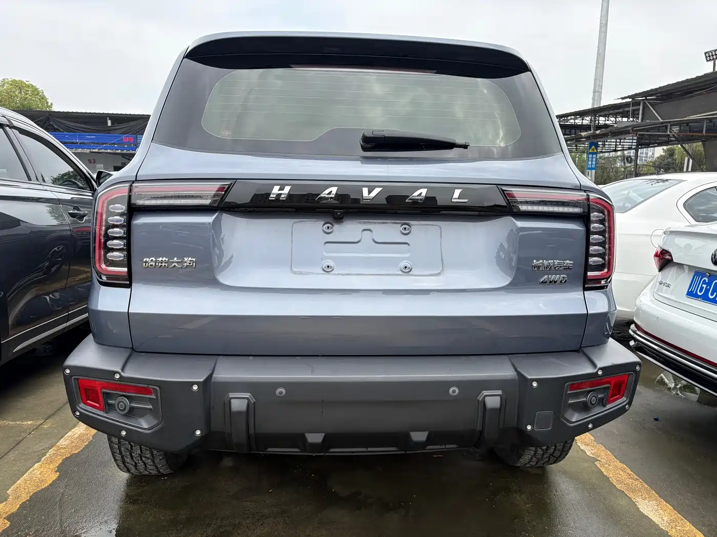 HAVAL BIG DOG