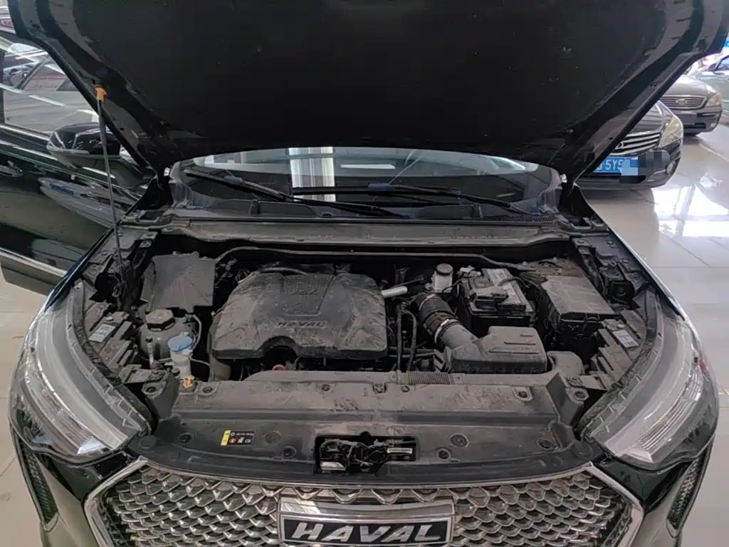 Haval First Love 2021 2021 1.5T Automatic Premium Edition