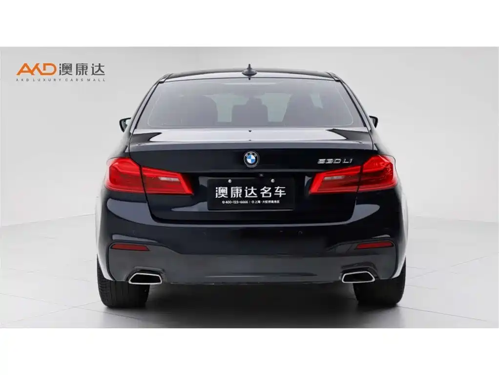 BMW 5 Series 2020 530Li Exclusive M Sport Package фото 4
