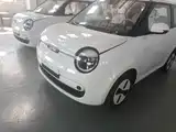 Photo 24 - Changan Lumin