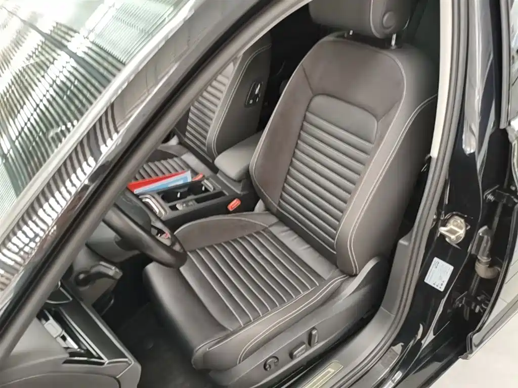 Volkswagen Magotan 2020 330TSI DSG Luxury фото 15