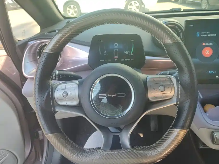 BYD Dolphin 2022 2021 Model 405km Fashion Edition