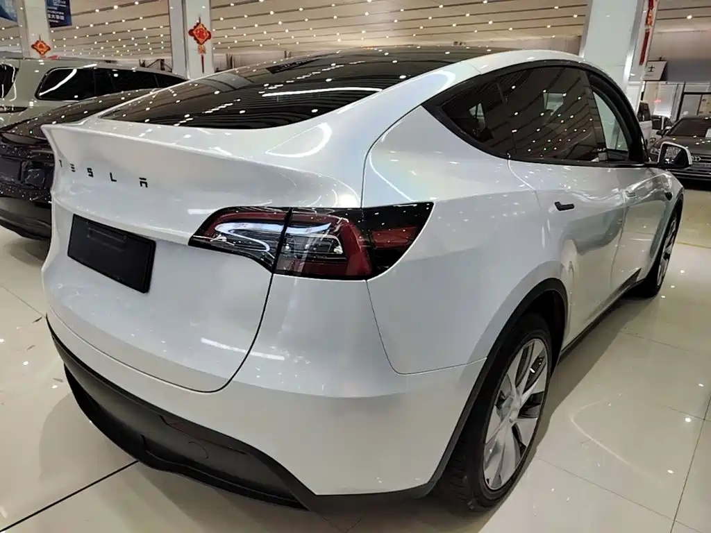 Tesla Model Y 2021 2021 Long Range All-Wheel Drive 3D7