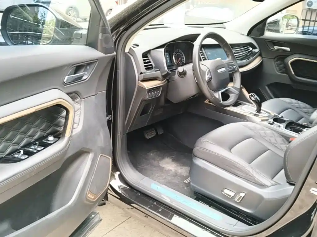 صورة 16 - Haval H6