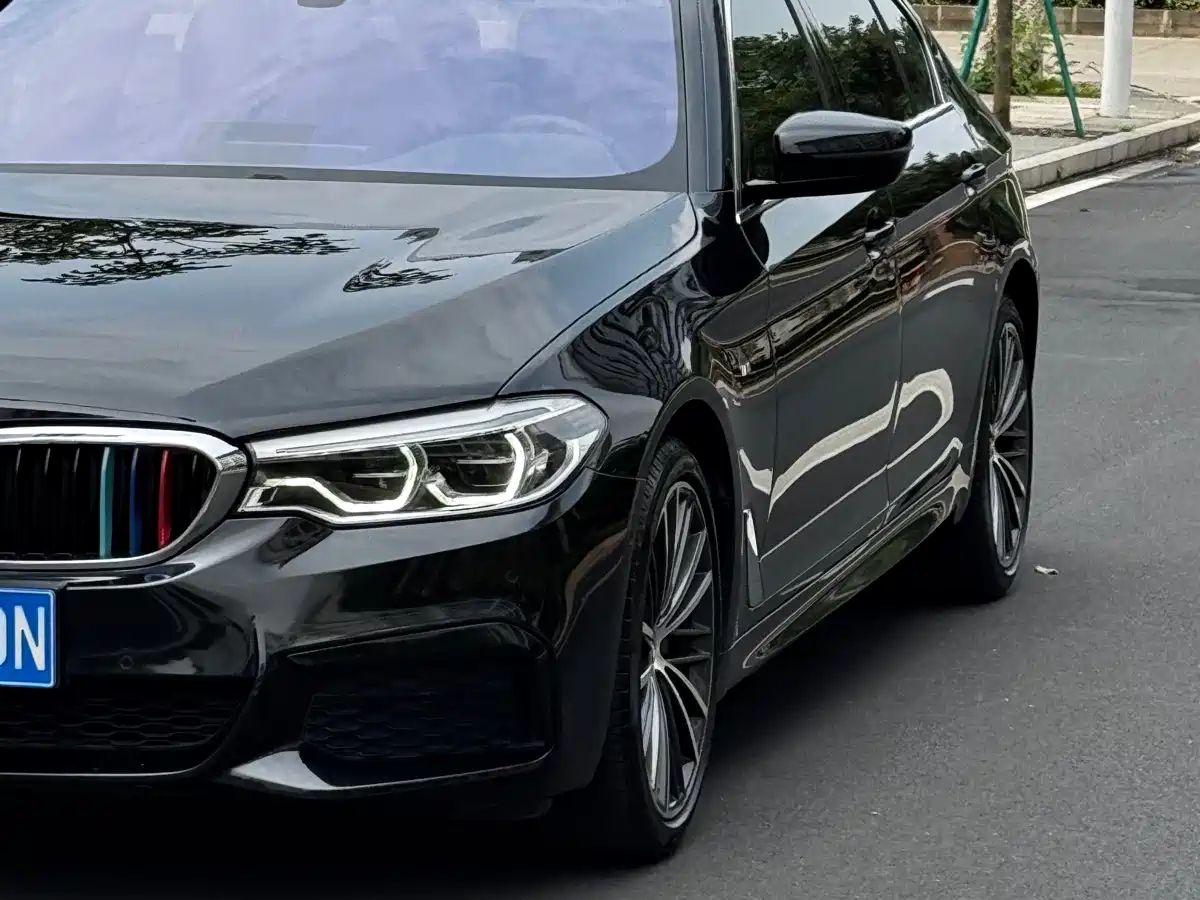 BMW 5 Series 2020 530Li Leading M Sport Package фото 3