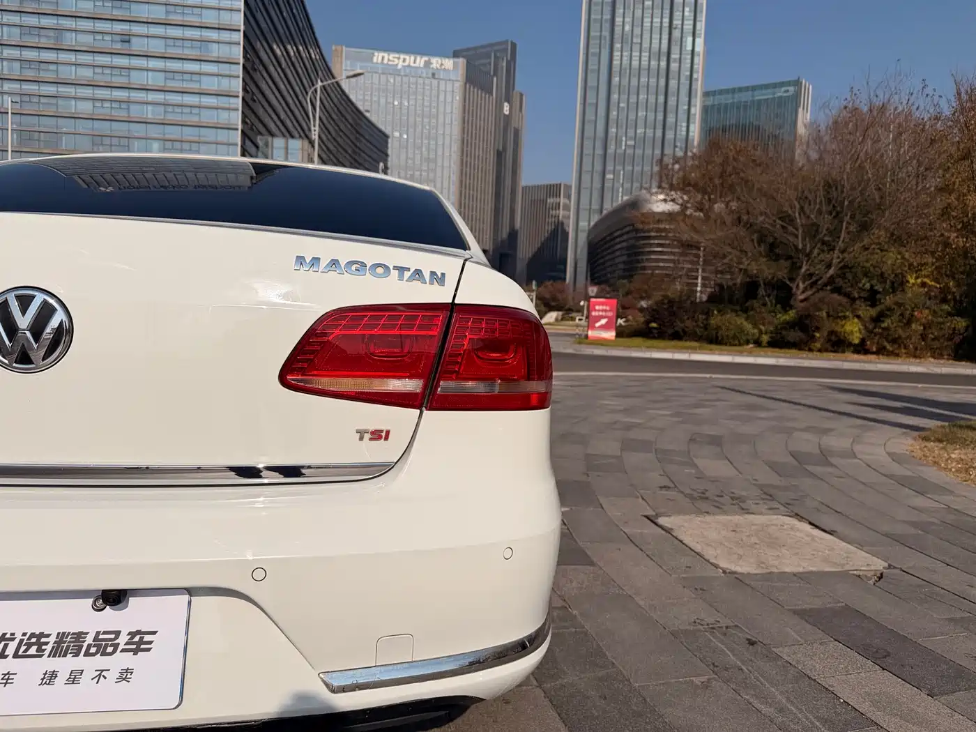 Volkswagen Magotan 2015 1.8TSI Luxury фото 10