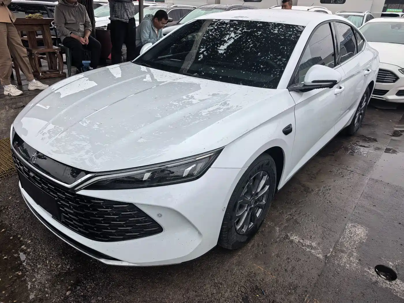 BYD Qin L 2025 DM-i Smart Drive Edition 80KM Leading